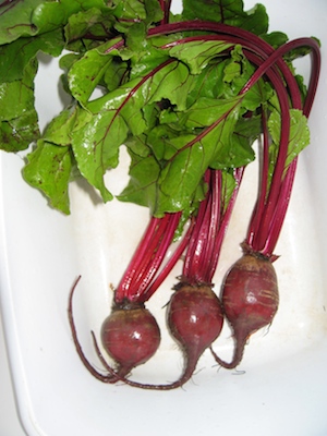 beets