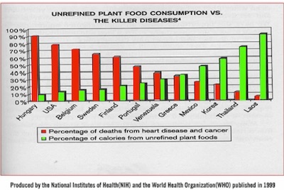 Diet and killer Diseases chart