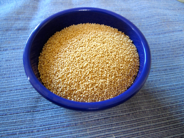 Amaranth, an ancient nutrient rich grain