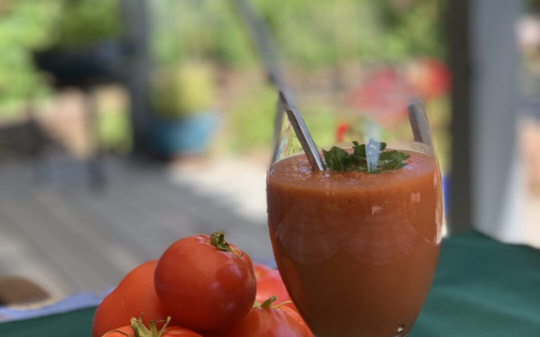 Gazpacho Soup