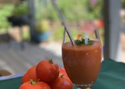 Gazpacho Soup