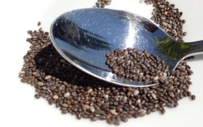 Chia seeds – do the benefits outweigh the cost?