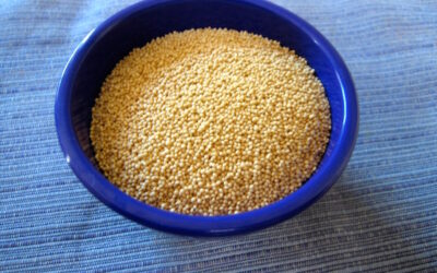 Amaranth, an ancient nutrient rich grain