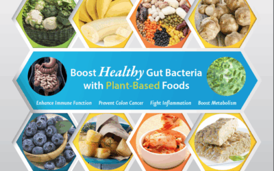 Your digestive system; where healing begins